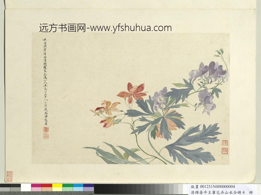 清恽寿平王翚花卉山水合册射干