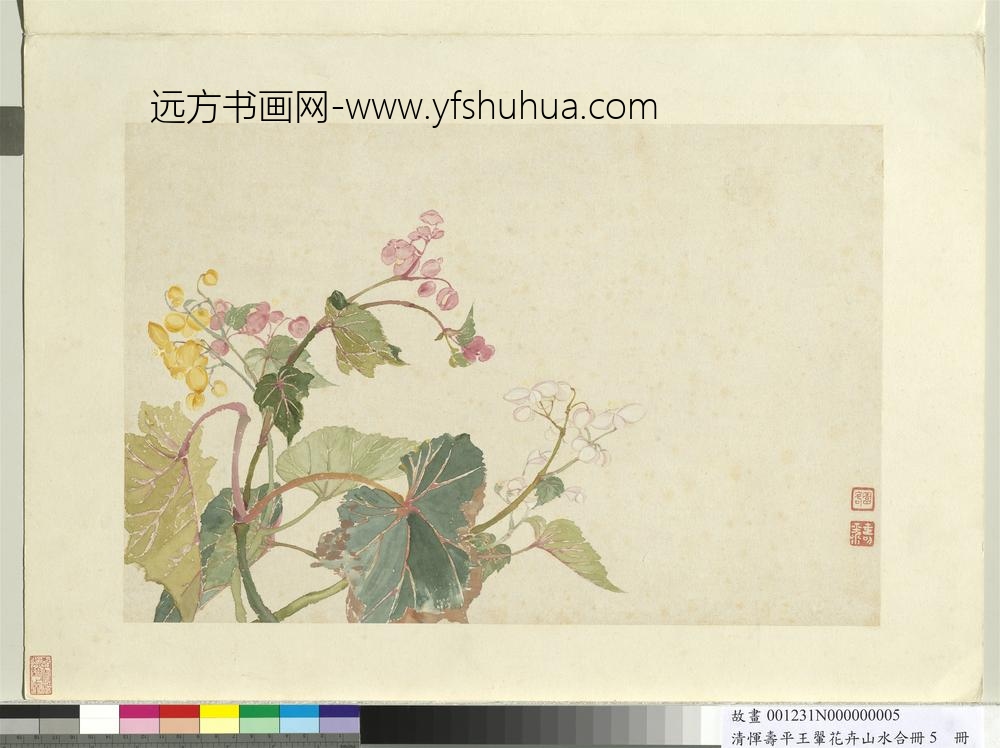 清恽寿平王翚花卉山水合册秋海棠