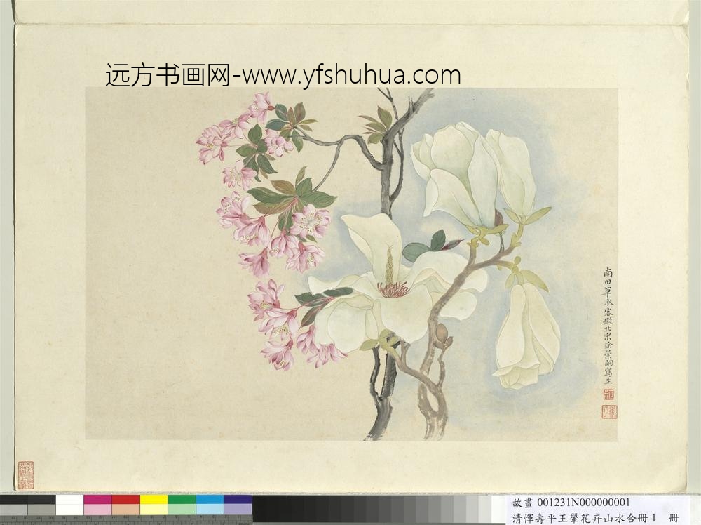 清恽寿平王翚花卉山水合册辛夷