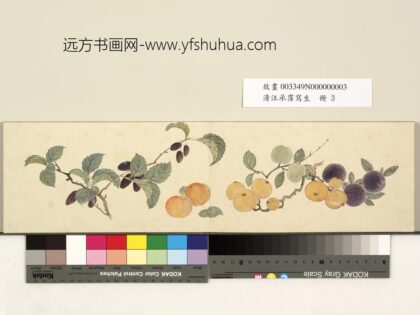 清汪承霈写生册写生枇杷诸果.jpg