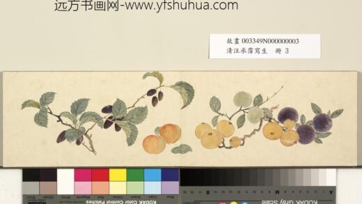 清汪承霈写生册写生枇杷诸果.jpg