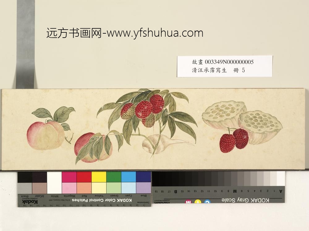清汪承霈写生册画荔枝等蔬果