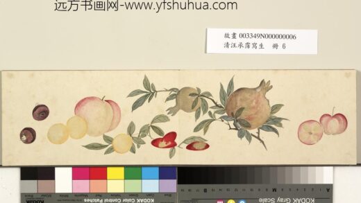 清汪承霈写生册石榴苎荠.jpg