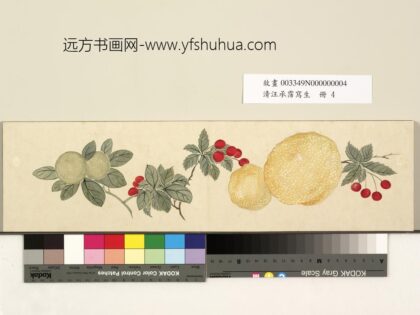 清汪承霈写生册香橼.jpg