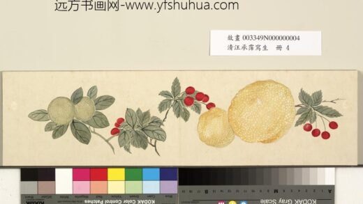 清汪承霈写生册香橼.jpg