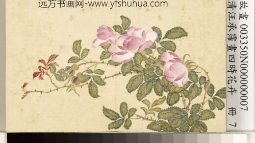 清汪承霈画四时花卉册月季.jpg