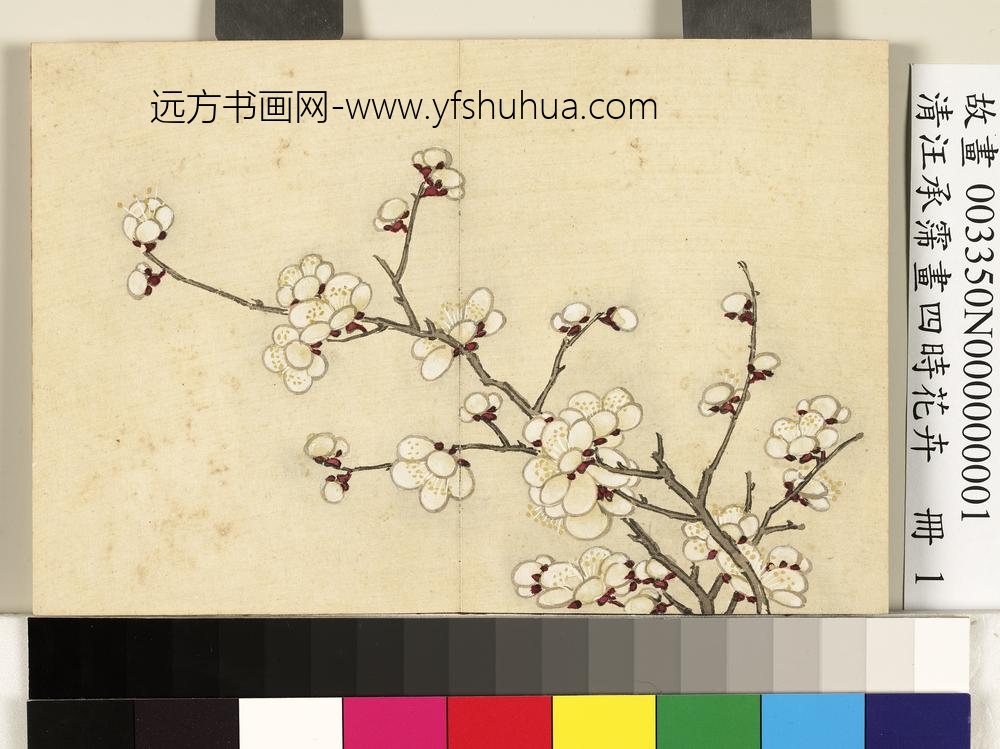 清汪承霈画四时花卉册梅花