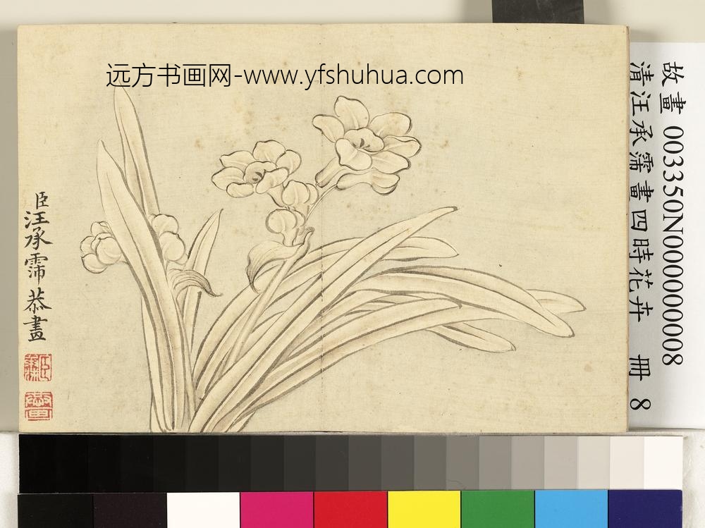 清汪承霈画四时花卉册水仙