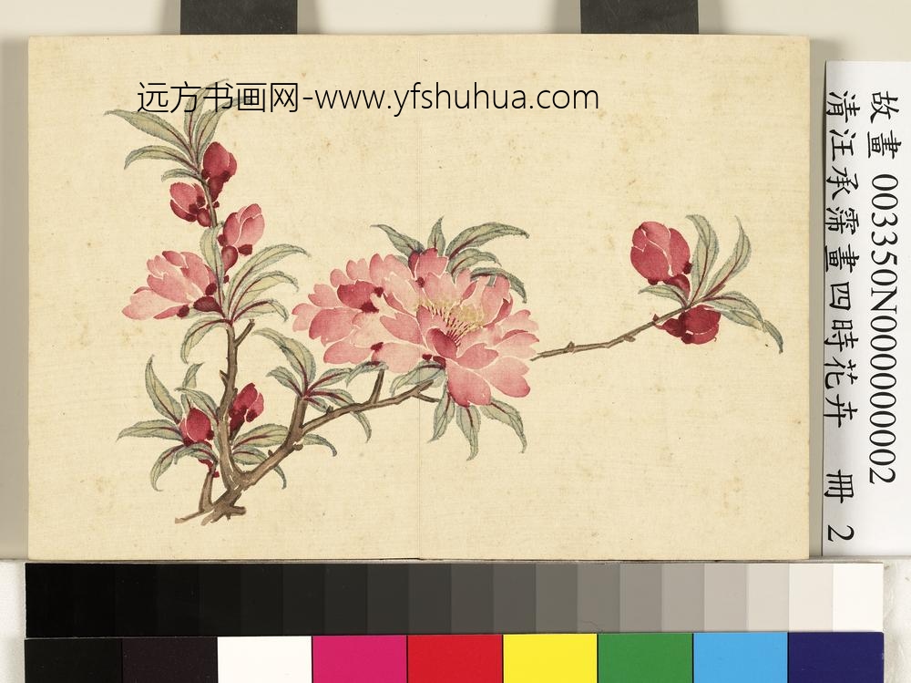 清汪承霈画四时花卉册碧桃