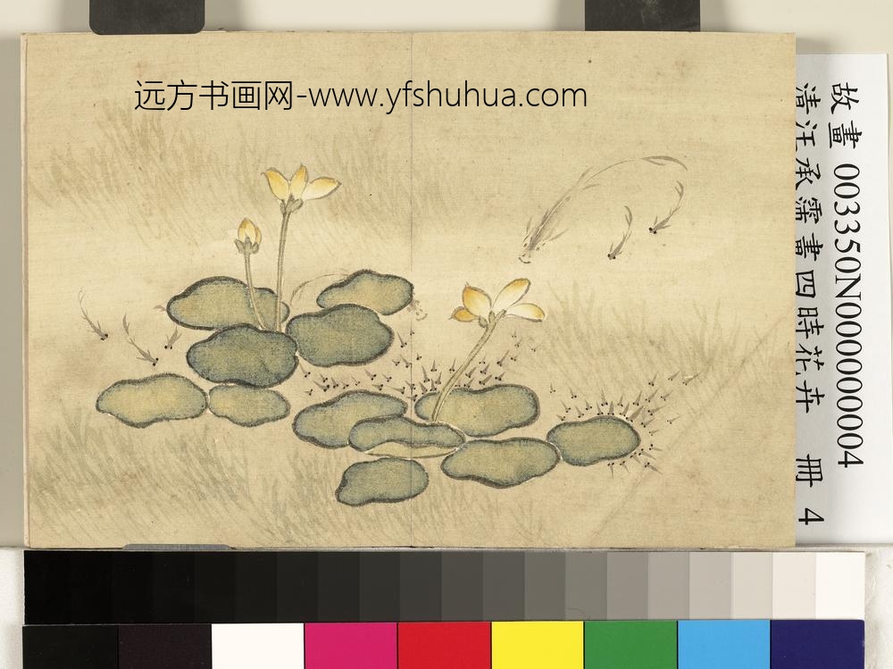 清汪承霈画四时花卉册花鱼