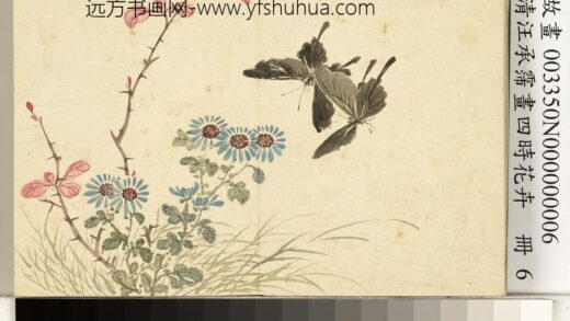 清汪承霈画四时花卉册菊花小蝶.jpg