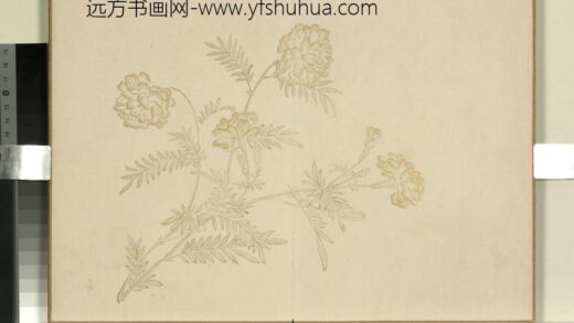 清王图炳冬景花卉诗画册 1.jpg