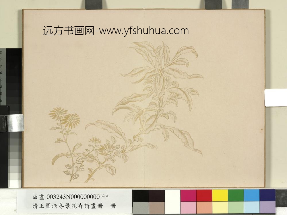 清王图炳冬景花卉诗画册
