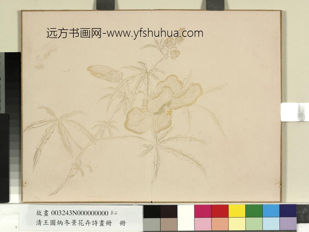 清王图炳冬景花卉诗画册
