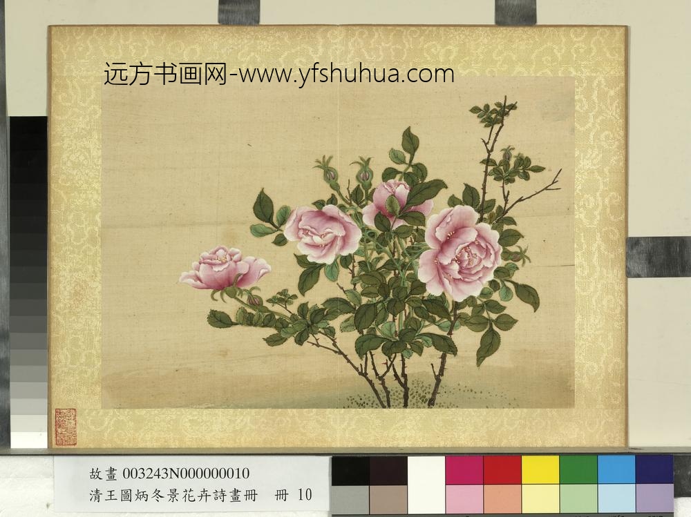 清王图炳冬景花卉诗画册月季