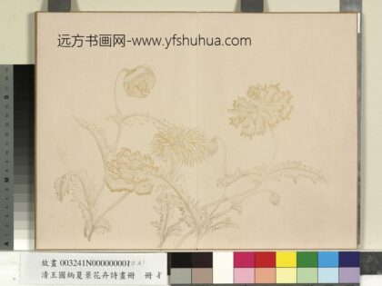 清王图炳夏景花卉诗画册 1.jpg