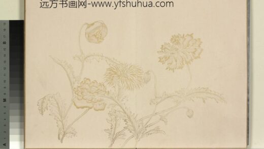清王图炳夏景花卉诗画册 1.jpg