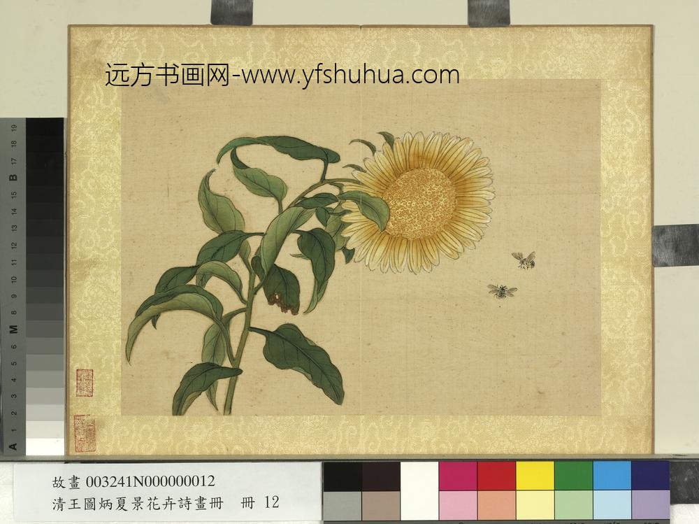 清王图炳夏景花卉诗画册向日葵