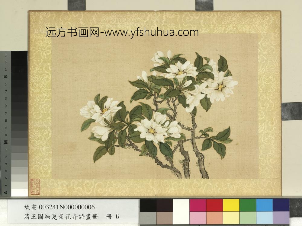 清王图炳夏景花卉诗画册栀子花