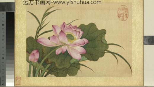 清王图炳夏景花卉诗画册莲花.jpg