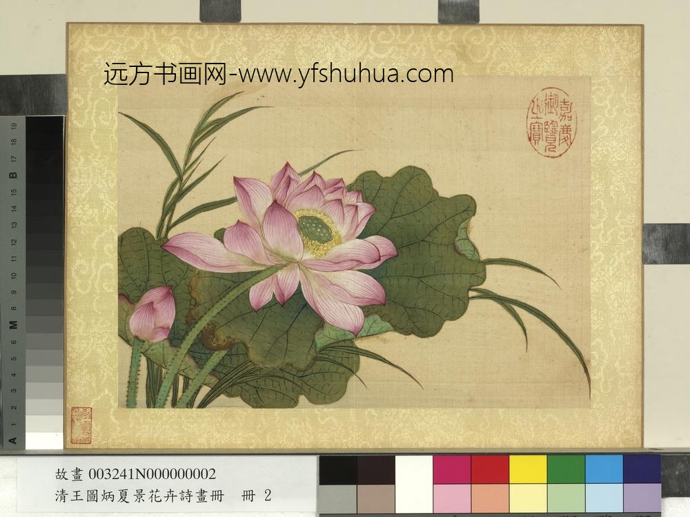 清王图炳夏景花卉诗画册莲花