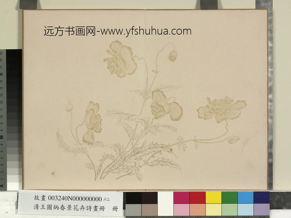 清王图炳春景花卉诗画册