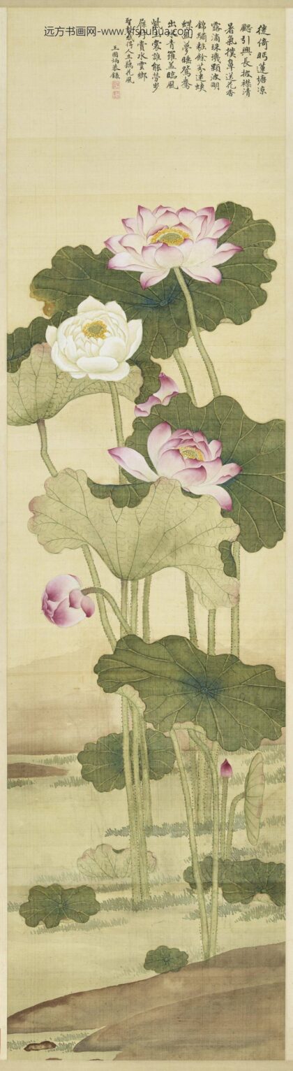 清王图炳画荷花轴.jpg