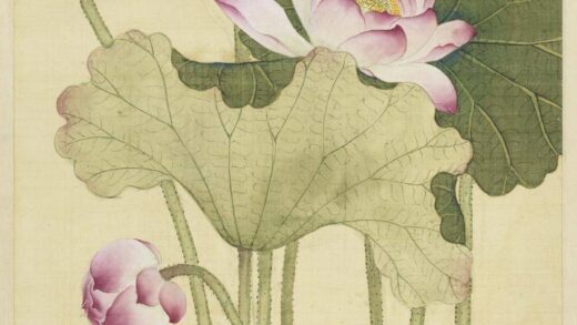 清王图炳画荷花轴.jpg