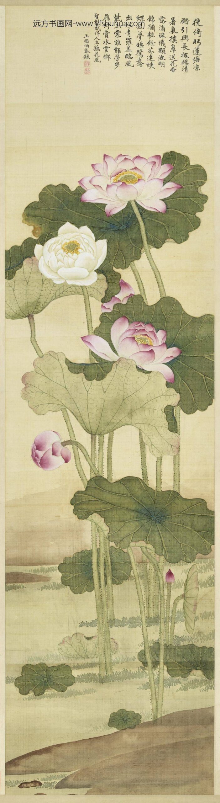 清王图炳画荷花轴