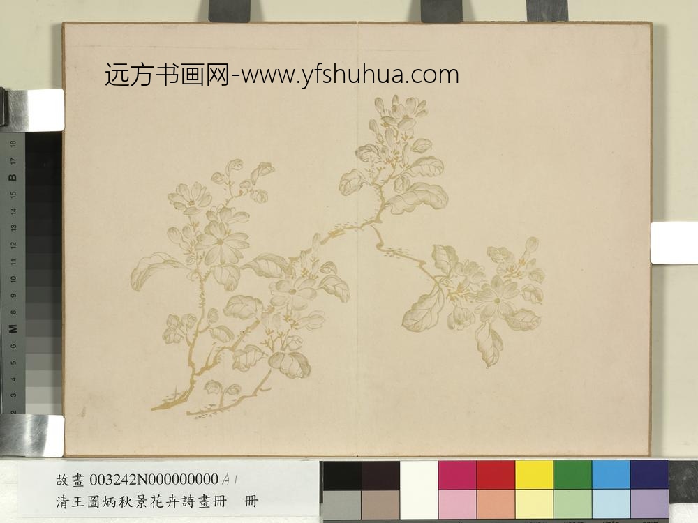 清王图炳秋景花卉诗画册