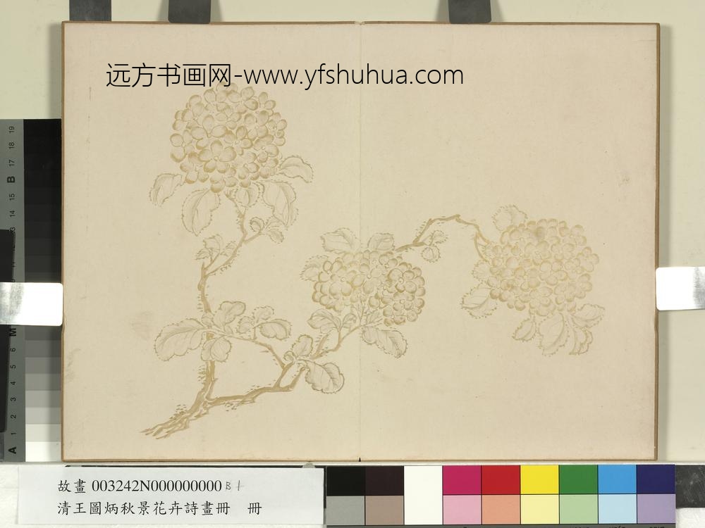 清王图炳秋景花卉诗画册