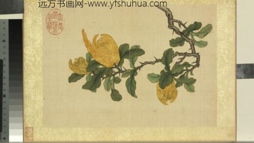 清王图炳秋景花卉诗画册佛手.jpg