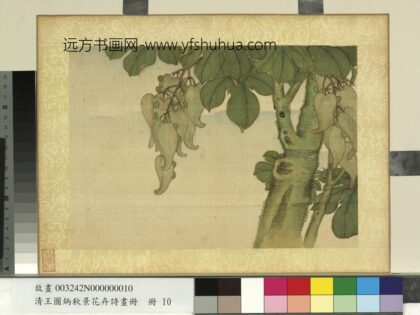 清王图炳秋景花卉诗画册梧桐.jpg