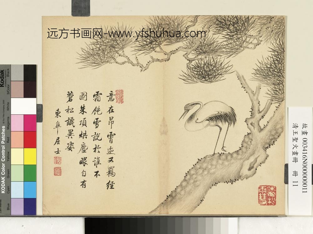 清王圣火画册松鹤