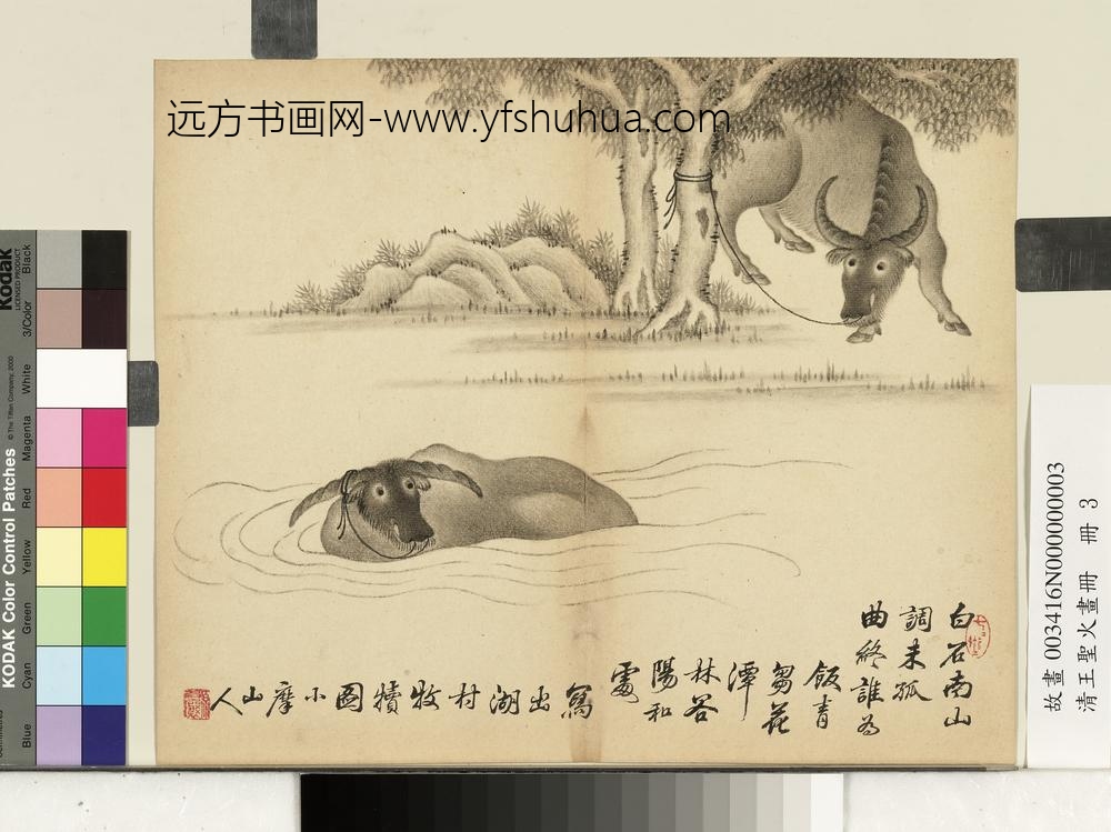 清王圣火画册湖村牧犊