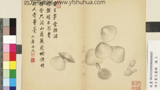 清王圣火画册花蛤.jpg