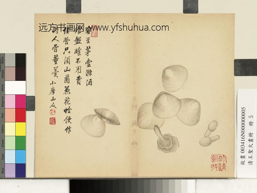 清王圣火画册花蛤