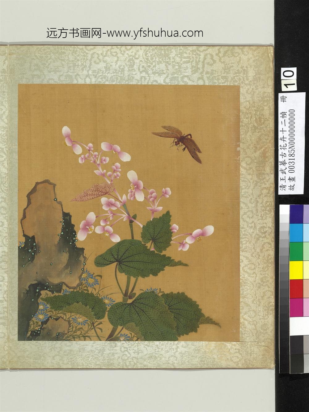 清王武摹古花卉十二帧册海棠蓝菊
