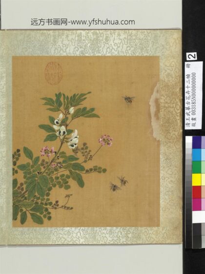 清王武摹古花卉十二帧册豆花紫花地丁.jpg