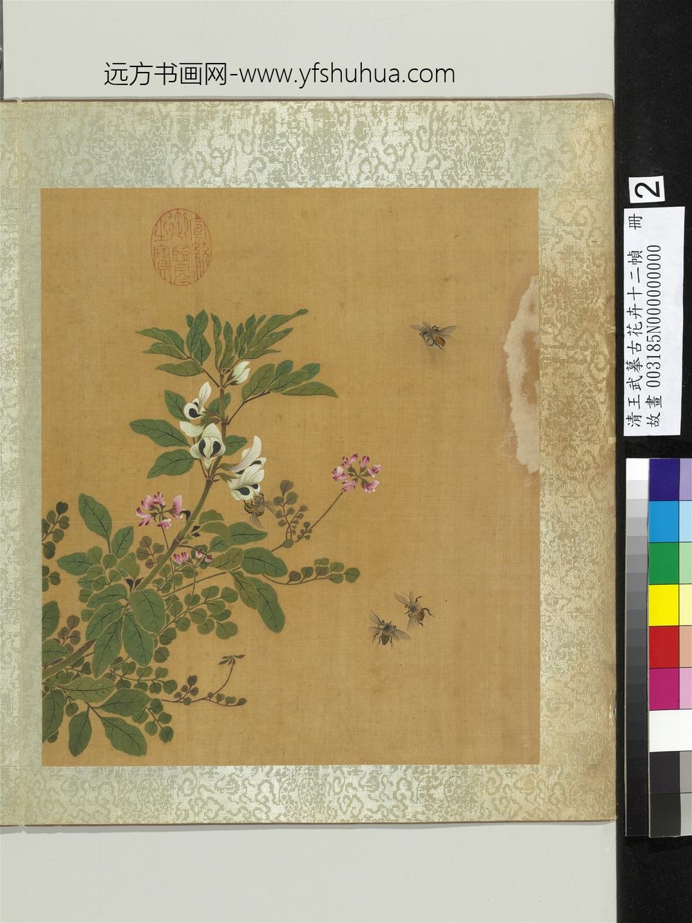 清王武摹古花卉十二帧册豆花紫花地丁