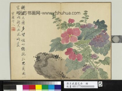 清王武画花卉册拳石蜀葵.jpg