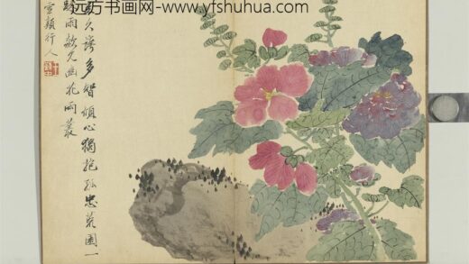 清王武画花卉册拳石蜀葵.jpg