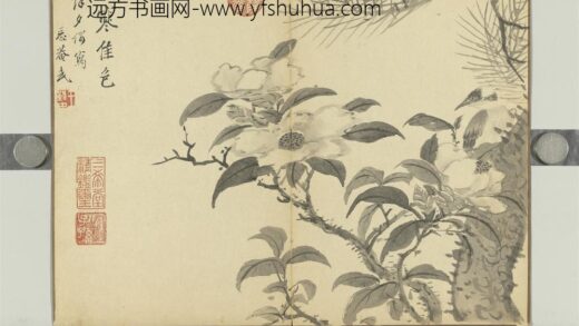 清王武画花卉册松下山茶.jpg
