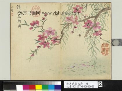 清王武画花卉册清江花柳.jpg