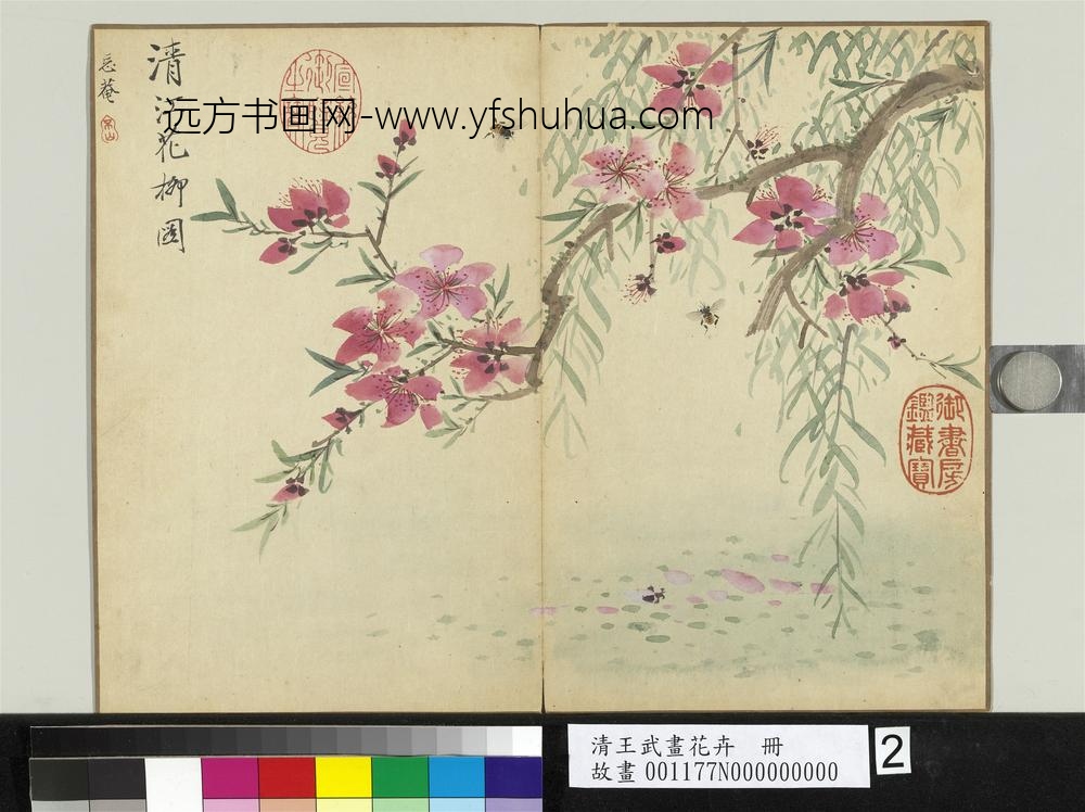 清王武画花卉册清江花柳