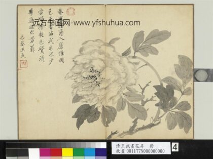 清王武画花卉册牡丹.jpg