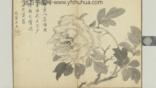 清王武画花卉册牡丹.jpg
