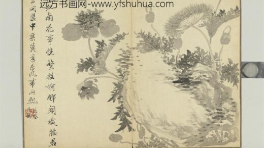 清王武画花卉册石边罂粟.jpg