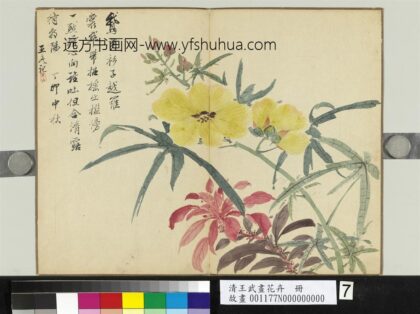 清王武画花卉册秋葵.jpg