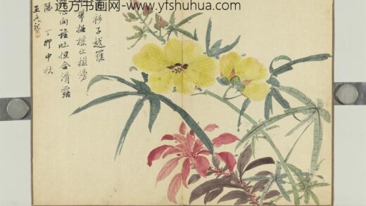 清王武画花卉册秋葵.jpg